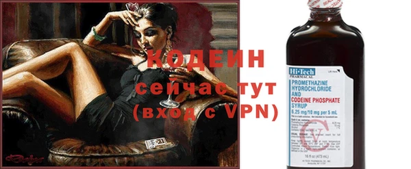хмурый Аркадак