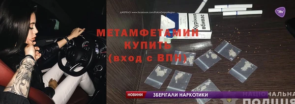 хмурый Аркадак