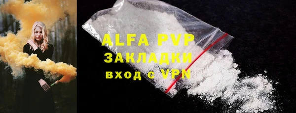 хмурый Аркадак