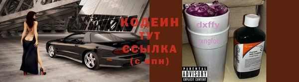 прущий лед Арсеньев