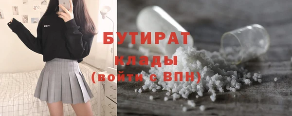 хмурый Аркадак