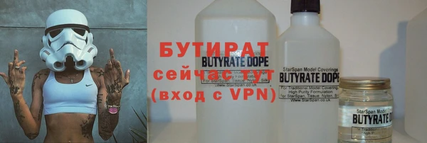 хмурый Аркадак