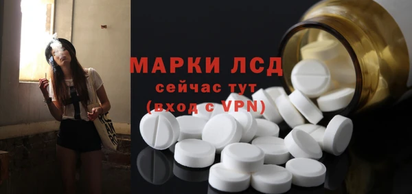 хмурый Аркадак