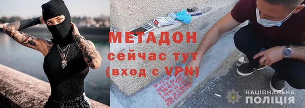 хмурый Аркадак