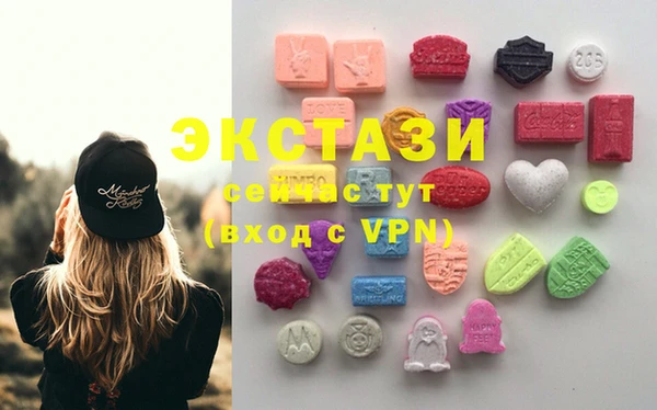 хмурый Аркадак