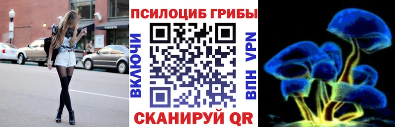 Галлюциногенные грибы Psilocybe  Купить закладки  Белоярский 